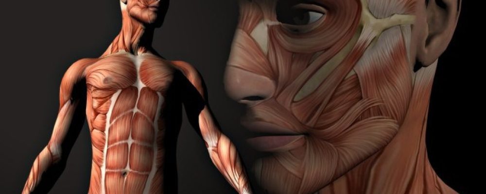 Τι μπορεί να κάνει το ανθρώπινο σώμα: 20 αλήθειες για να μείνετε ά-φω-νοι!!!