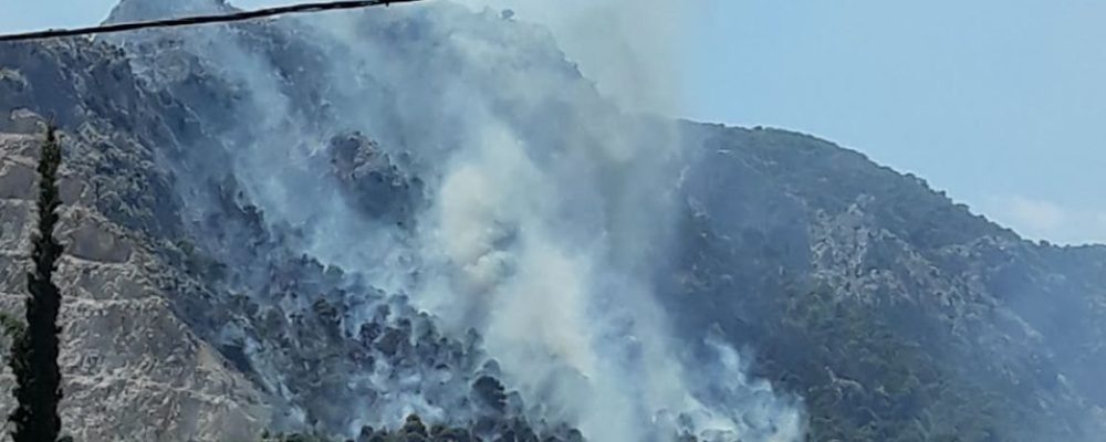 ΤΩΡΑ: Μεγάλη φωτιά σε εξέλιξη – Εκκενώνεται η κατασκήνωση στις Κεχριές (φρωτογραφίες)