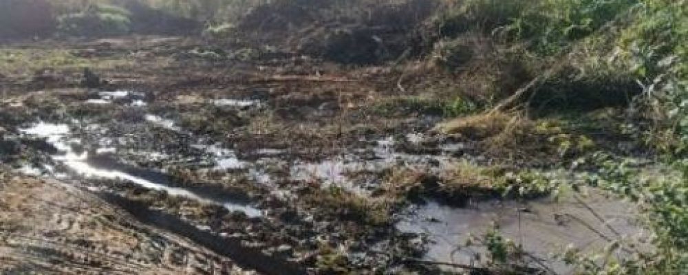 Τόνοι από  απόβλητα  ελαιοτριβείων ρυπαίνουν το έδαφος στο Βραχάτι (φωτογραφίες)