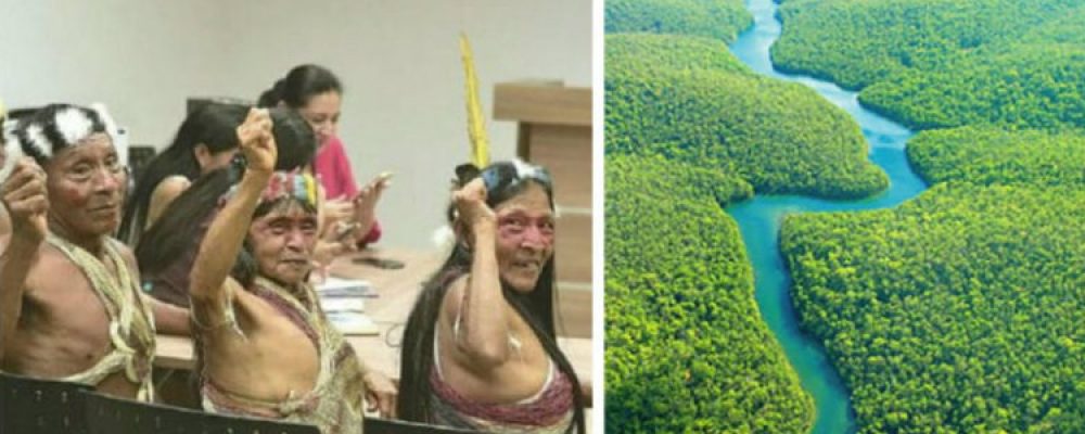 Η φυλή Amazon κέρδισε αγωγή εναντίον εταιρείας πετρελαίου και σώζει χιλιάδες στρέμματα τροπικού δάσους