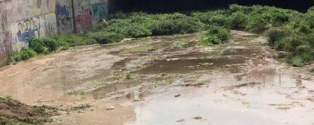 Ο Δήμος Κορινθίων προχώρησε στον καθαρισμό του τελευταίου τμήματος του Ξηριά… είχε γίνει εστία κουνουπιών