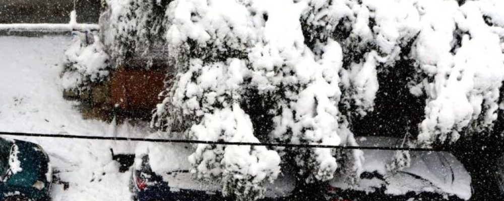 Πολικό ψύχος και χιόνια στο πρώτο 15ήμερο Μαρτίου -Τα τρία σενάρια