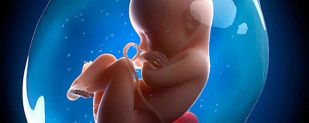 Προγεννητικός έλεγχος: Βήμα-βήμα όσα πρέπει να ξέρετε για ένα γερό μωρό