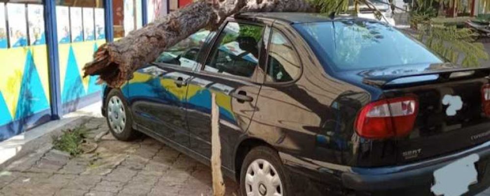 ΛΟΥΤΡΑΚΙ – Δέντρο έπεσε επάνω σε αυτοκίνητο λόγω των ισχυρών ανέμων