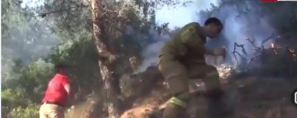 Απίστευτο σοκαριστικό βίντεο… Πυροσβέστες σβήνουν τη φωτιά με μπουκάλια εμφιαλωμένου νερού!