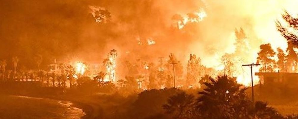 Τεράστιες οι επιπτώσεις στο περιβάλλον από τη φωτιά στον Σχίνο Κορινθίας
