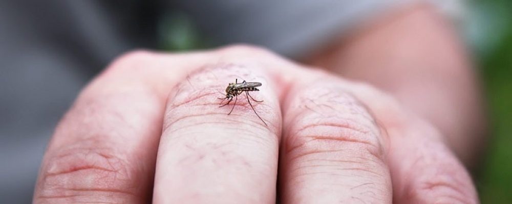 10 λόγοι που τα κουνούπια επιλέγουν εσένα αντί των άλλων! (βίντεο)