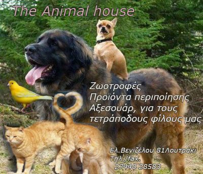 The Animal House &#8211; Κατάστημα μικρών ζώων