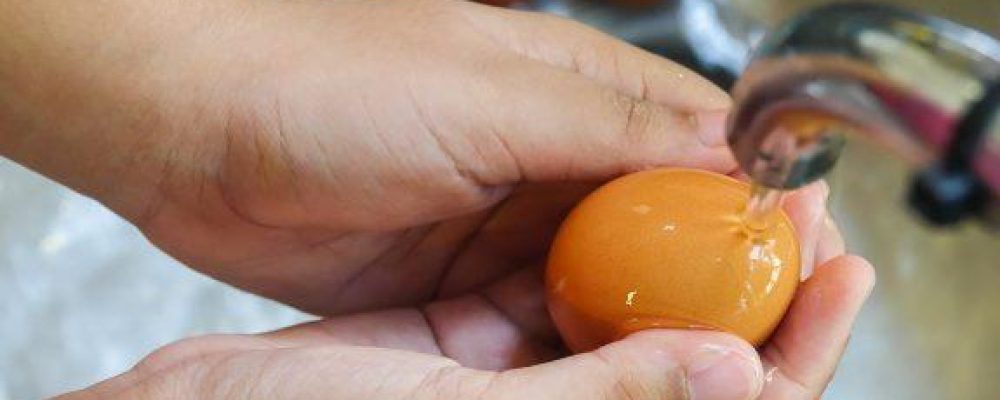 Πλένετε τα αβγά πριν τα μαγειρέψετε; Μην το ξανακάνετε – Υπάρχει σοβαρός λόγος