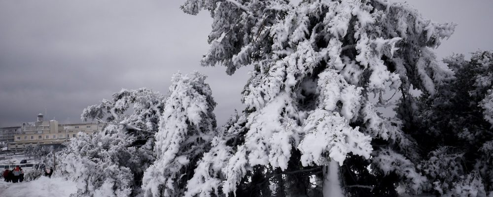Έκτακτο δελτίο επιδείνωσης καιρού για τον Τηλέμαχο. Ξανά χιονιάς και κακοκαιρία