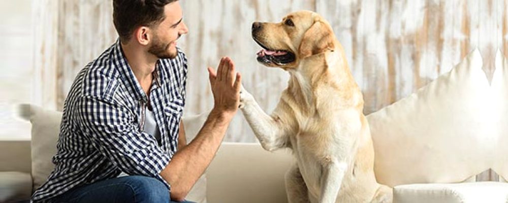 5 λόγοι που δείχνουν ότι τα κατοικίδια είναι το μυστικό μας όπλο για υγεία και ευτυχία