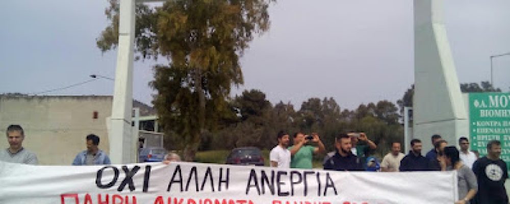 To Σωματείο Εργαζομένων ΜΟΥΡΙΚΗΣ καταγγέλλει τη κυβέρνηση για την ιδιωτικοποίηση της ΛΑΡΚΟ και την απόλυση 1200 εργαζομένων