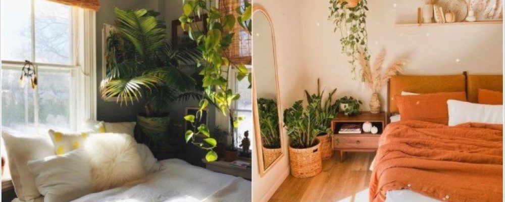 6 Φυτά που θα ομορφύνουν την κρεβατοκάμαρα σου!