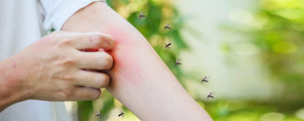 Κουνούπια ΤΕΛΟΣ! Ένα Απίστευτο Κόλπο Για Να Εξαφανίσετε Τα Κουνούπια Για Όλο Το Καλοκαίρι !