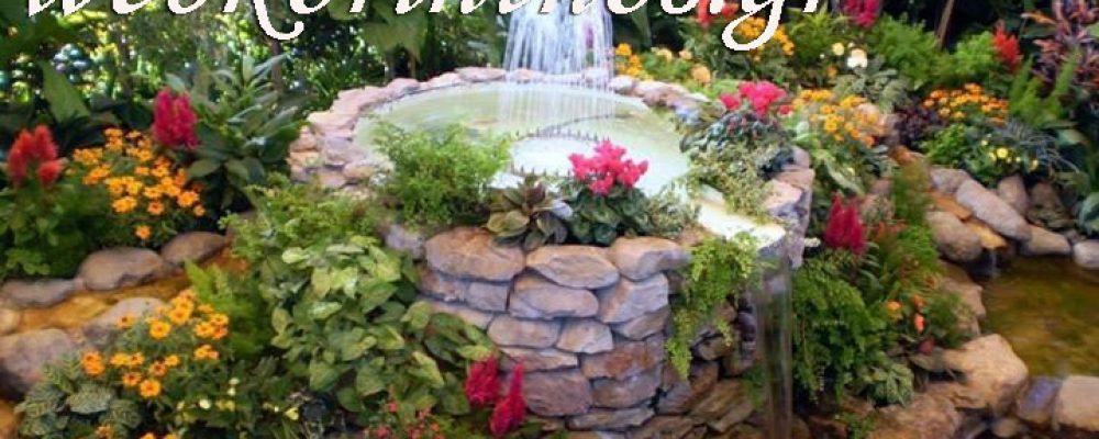Το ανθοκήπιο “Ασλάνης” Συμβουλεύει με Εντυπωσιακές και Φθηνές Ιδέες Διακόσμησης για τον Κήπο σας