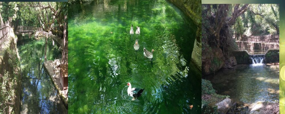 Το χωριό έκπληξη στην Ορεινή Κορινθία: Λίμνες, καταρράκτες, θεϊκά παϊδάκια, παραλία στα 20 λεπτά!-βίντεο