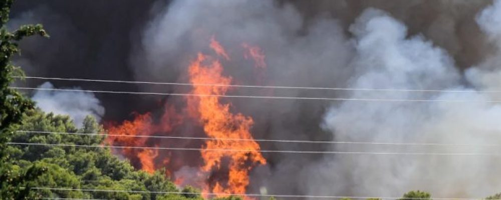 Μεγάλη φωτιά στα Μέγαρα: Απειλούνται σπίτια – Εκκενώθηκε προληπτικά η Ζάχουλη