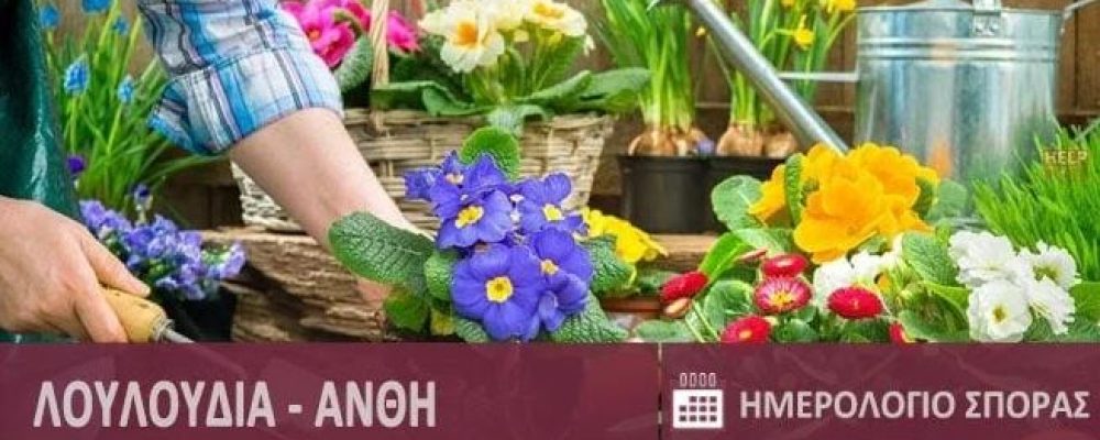 Λουλούδια – Φυτά – Τι φυτεύουμε τον Μάρτιο – Ετήσιο Ημερολόγιο