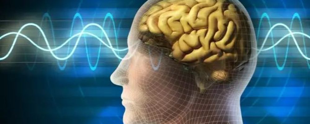 Έρευνα: Η προσωπικότητα παίζει ρόλο στην ταχύτητα γνωστικής εξασθένισης του εγκεφάλου