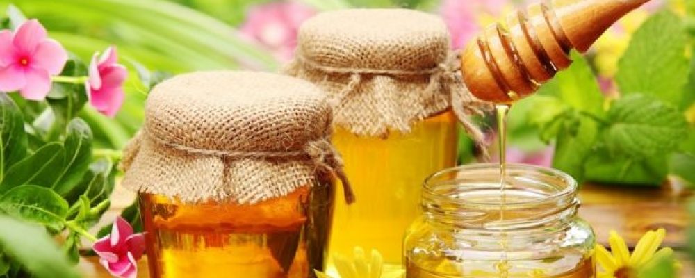Μέλι: Κινδυνεύει να χαθεί το 1/3 των κυψελών – «Γονατίζει» η νοθεία  και στην Κορινθία